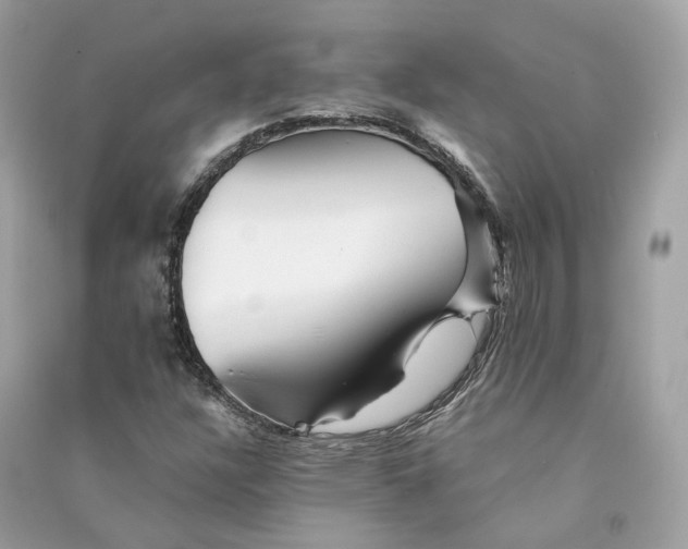 X0000090781304200708101823