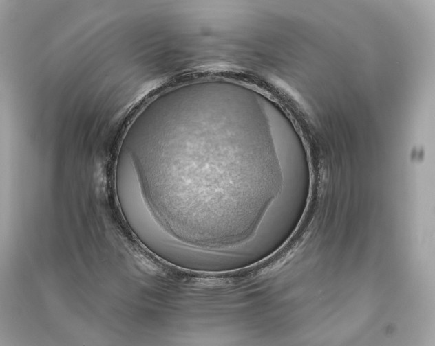 X0000090781305200708101823