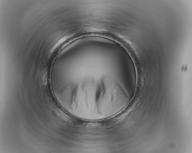 X0000090781306200708101823