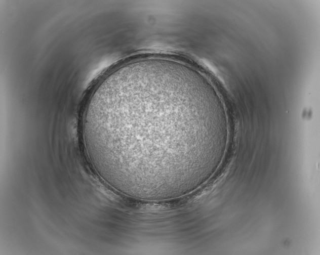 X0000090781307200708101823