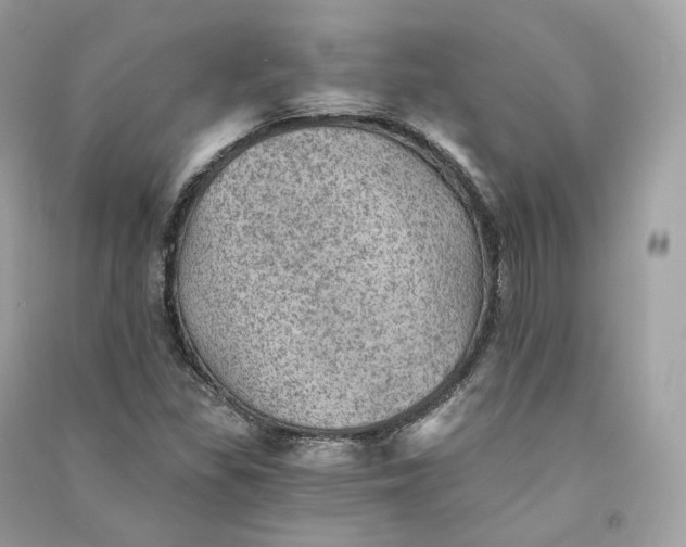 X0000090781309200708101823