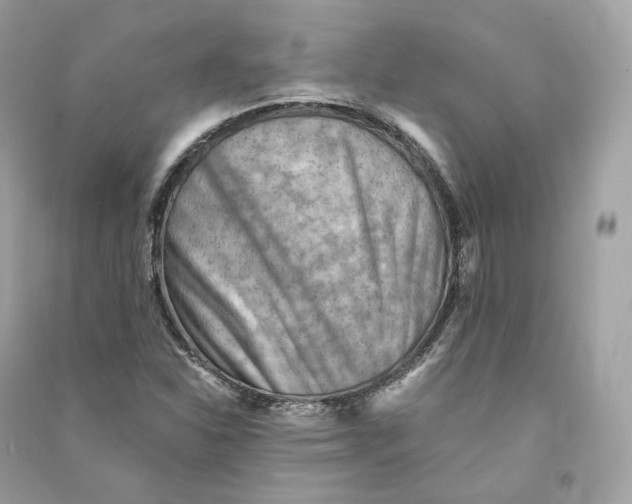 X0000090781310200708101823