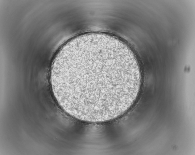X0000090781314200708101823