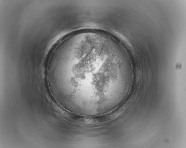 X0000090781318200708101823