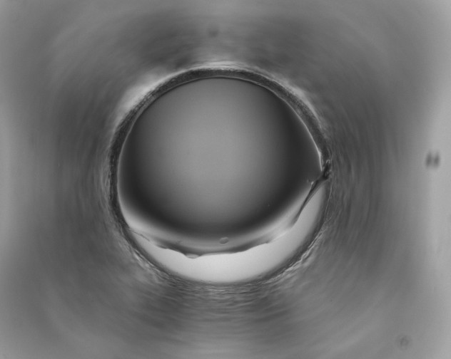 X0000090781319200708101823
