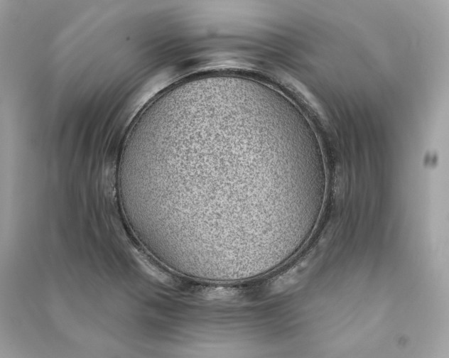 X0000090781321200708101823