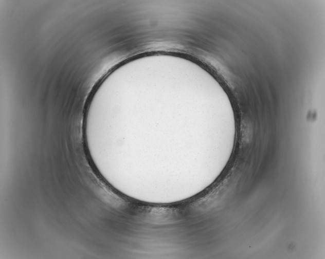 X0000090781322200708101823