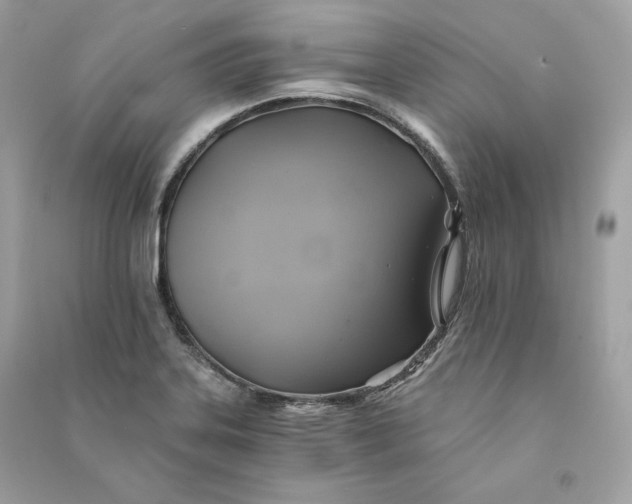 X0000090781323200708101823