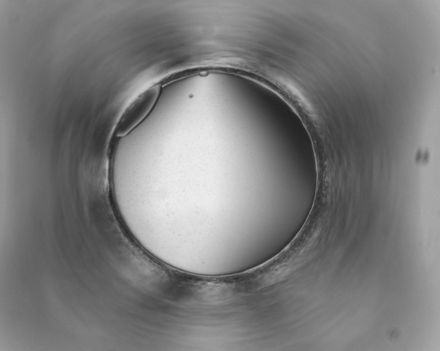 X0000090781324200708101823