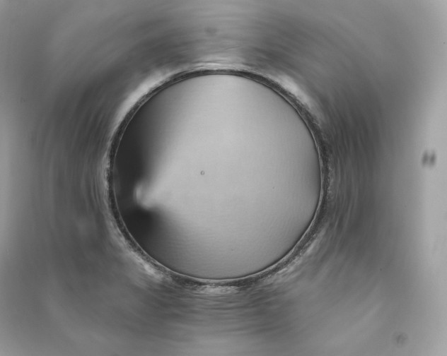 X0000090781325200708101824