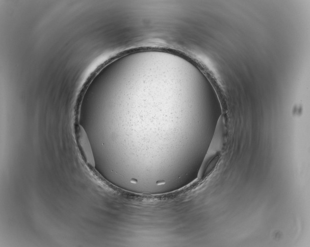 X0000090781326200708101824