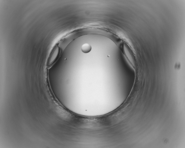 X0000090781328200708101824