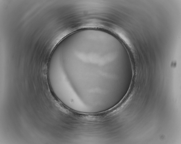 X0000090781329200708101824
