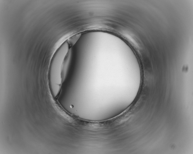X0000090781330200708101824