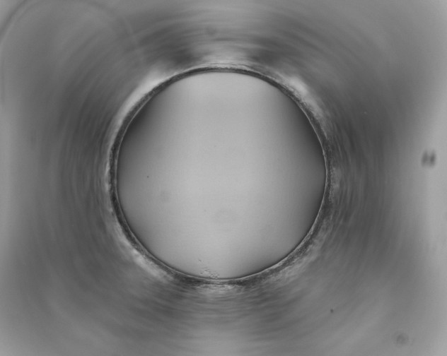 X0000090781331200708101824