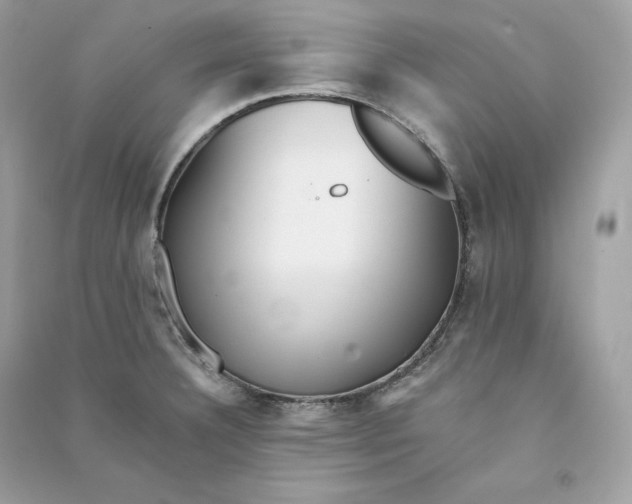 X0000090781332200708101824