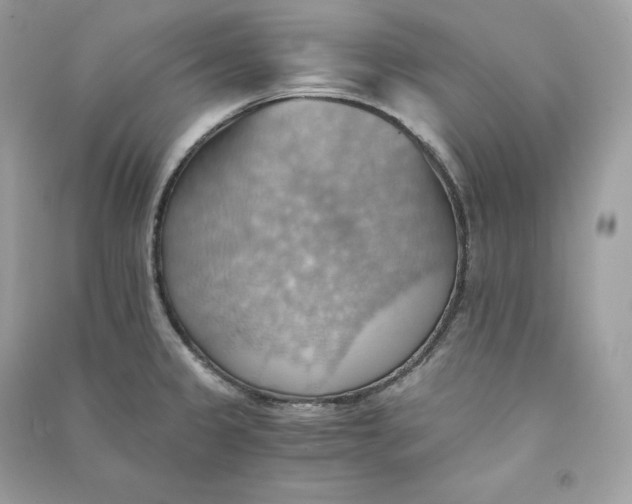 X0000090781333200708101824