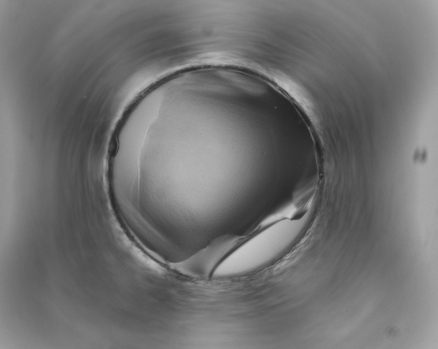 X0000090781334200708101824