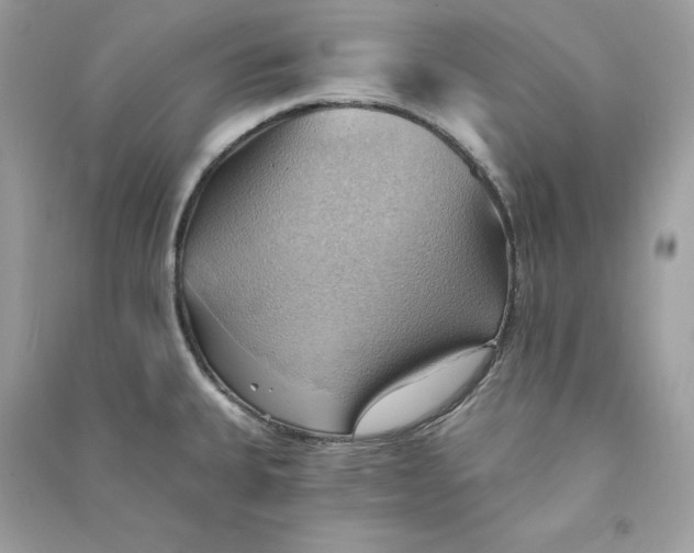 X0000090781335200708101824