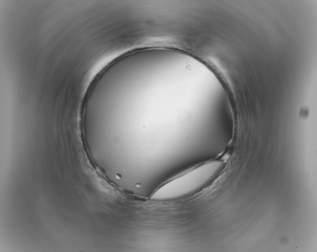 X0000090781336200708101824
