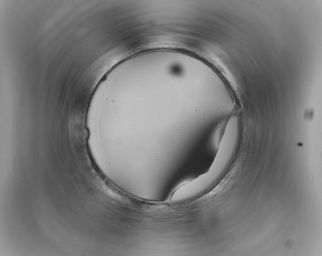 X0000090781337200708101824