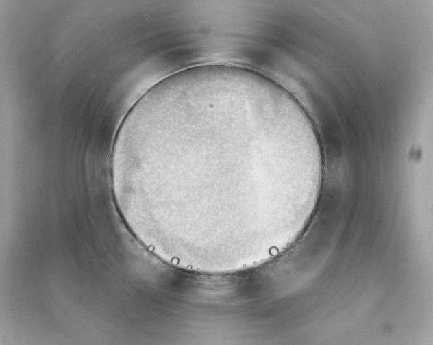 X0000090781338200708101824
