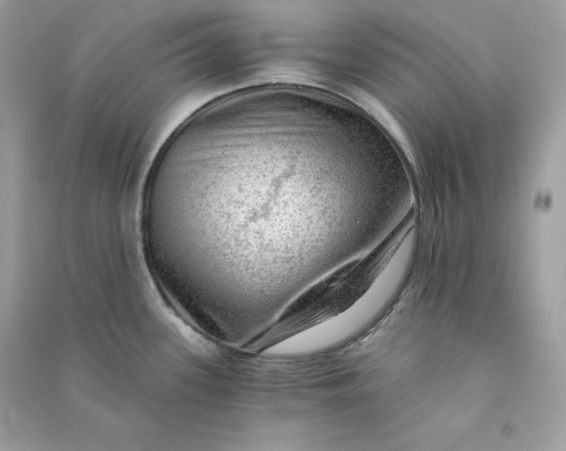 X0000090781339200708101824