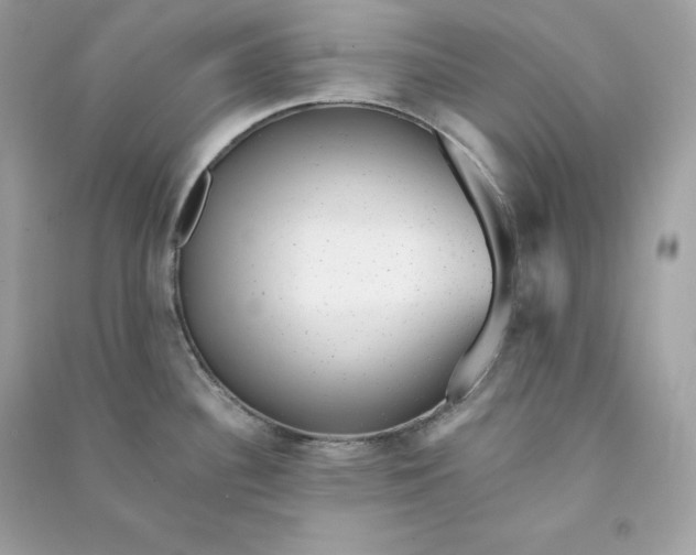 X0000090781340200708101824