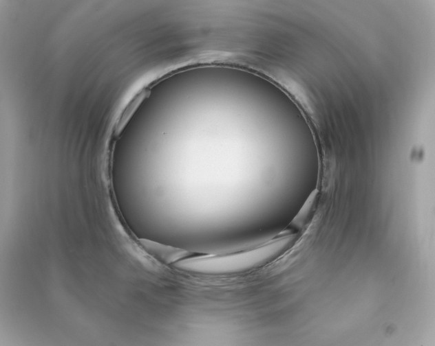 X0000090781342200708101824