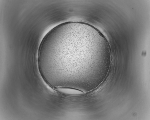 X0000090781343200708101824