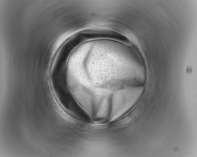 X0000090781344200708101824