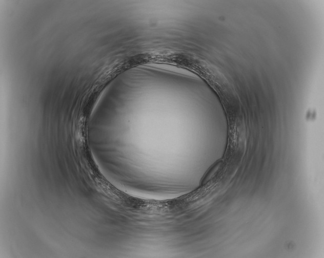 X0000090781346200708101823