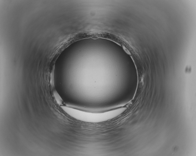 X0000090781348200708101823