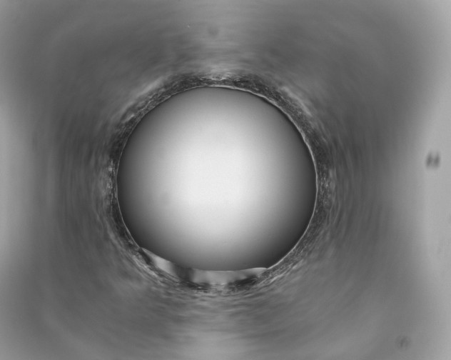 X0000090781349200708101823