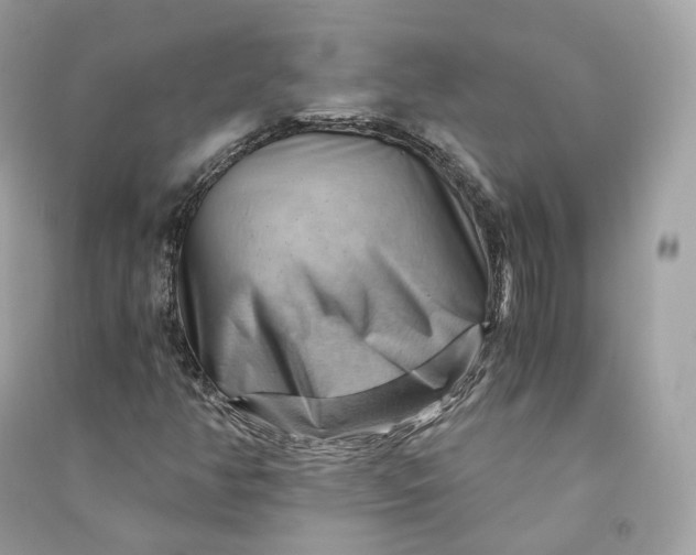 X0000090781350200708101823