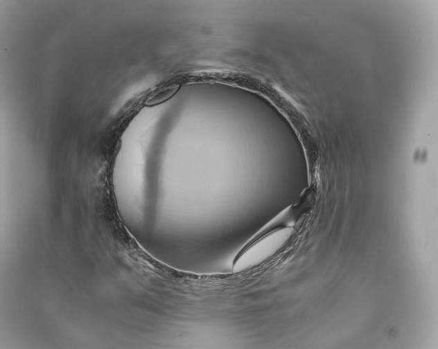 X0000090781351200708101823