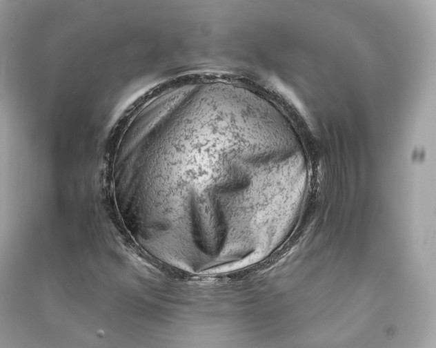 X0000090781352200708101823