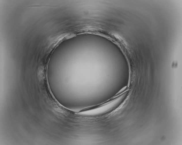 X0000090781353200708101823