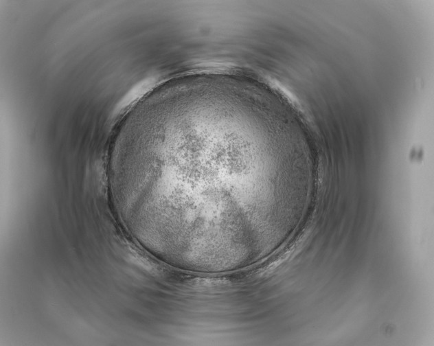 X0000090781354200708101823