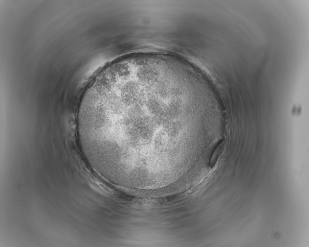 X0000090781355200708101823