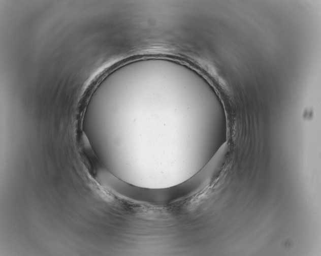 X0000090781356200708101823