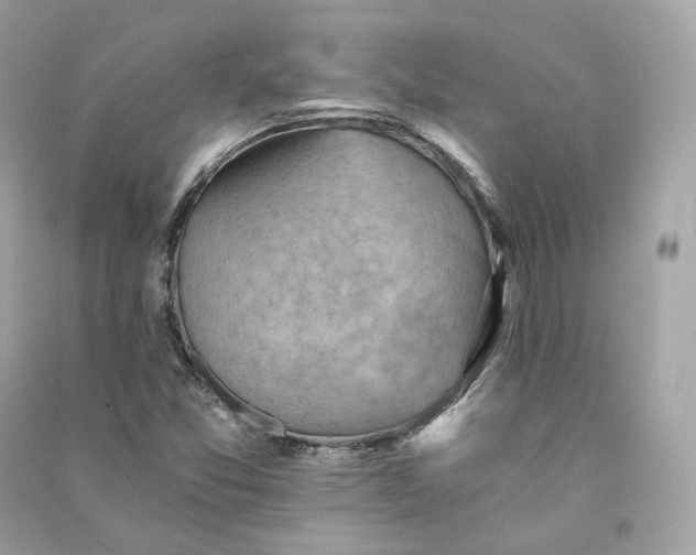 X0000090781357200708101823