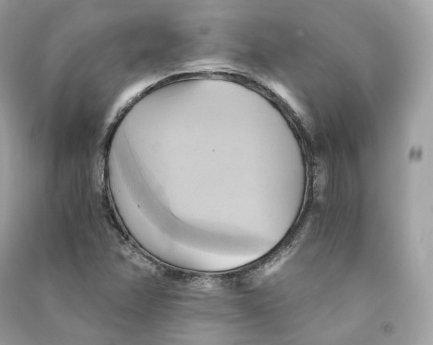 X0000090781358200708101823
