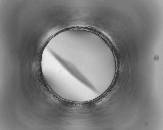 X0000090781359200708101823