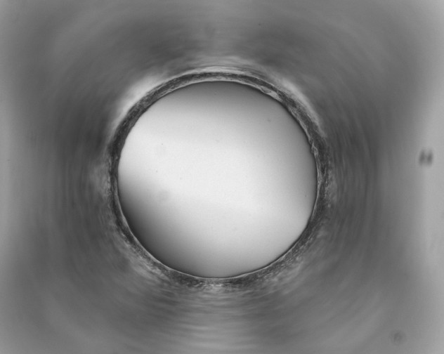 X0000090781360200708101823