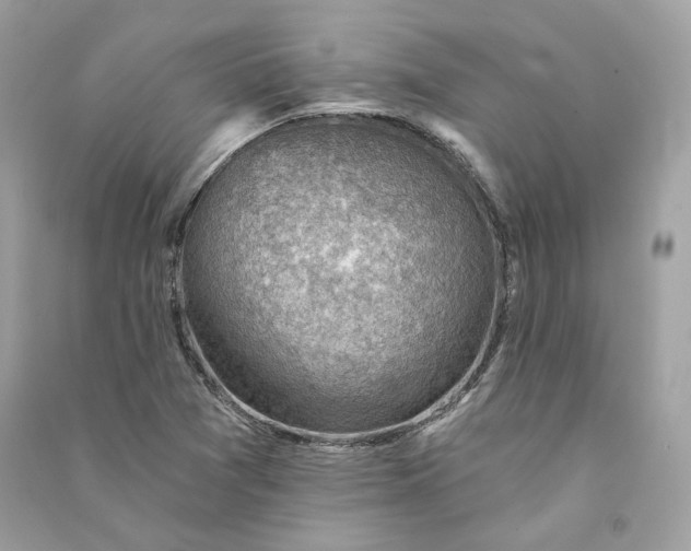 X0000090781361200708101823