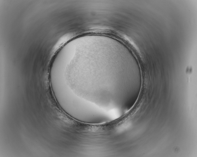 X0000090781362200708101823