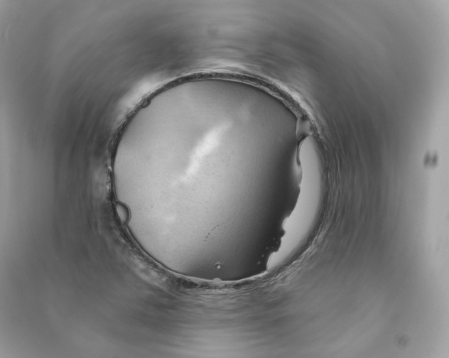 X0000090781363200708101823