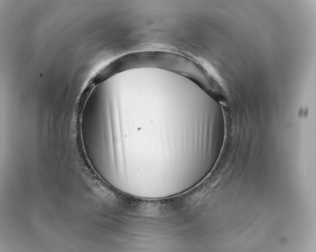 X0000090781364200708101823