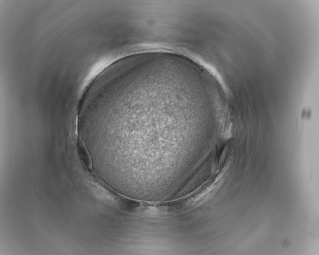 X0000090781365200708101823